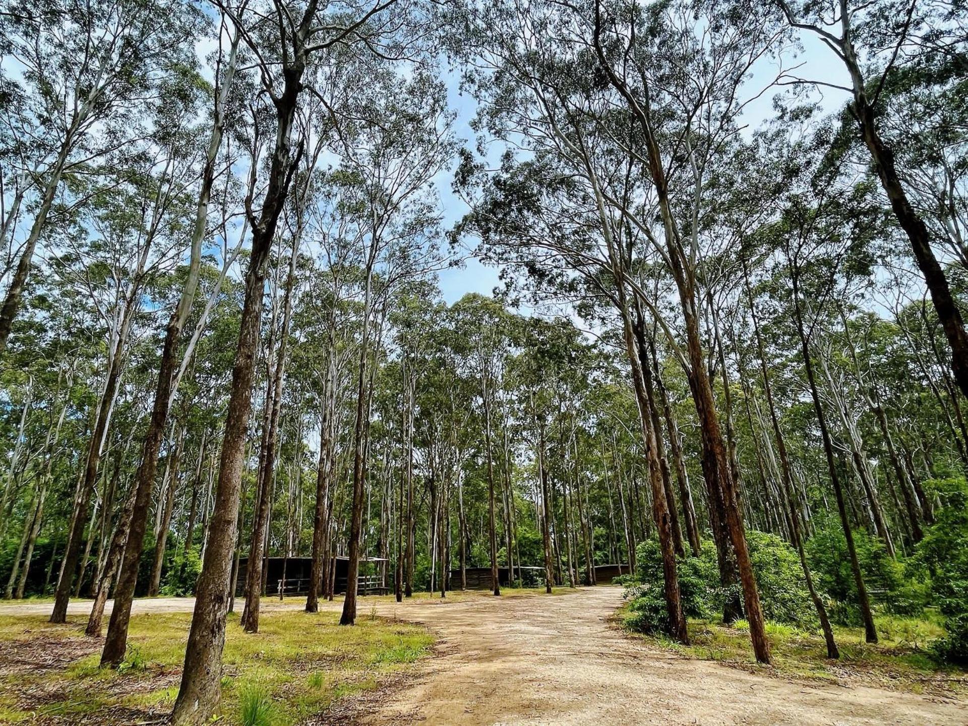 Lakes Entrance Log Cabins Exterior foto